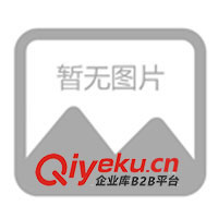 電動四輪車、四輪車、代步車、卡丁車、游覽車